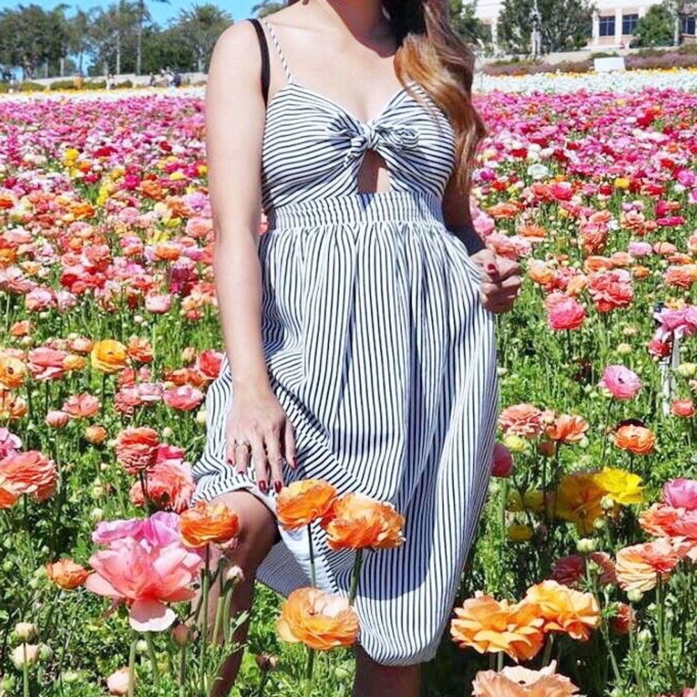 Shein dress